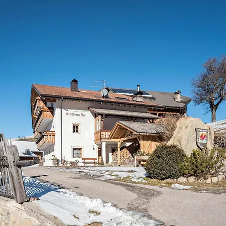 Apartment Schildberghof Ortler Siusi